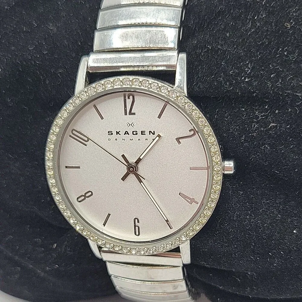 Skagen SKW2284 Women Silver Stainless Steel Analog Dial Quartz Wrist Watch AM576